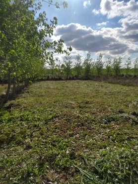 Terrenos En Villa Paranacito Delta